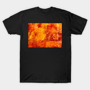 Earth Patterns 3 - Autumn Gold T-Shirt